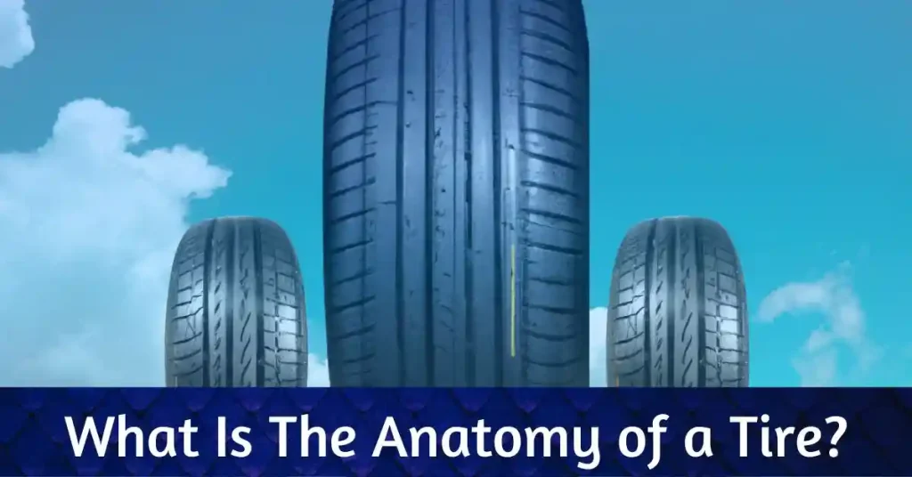 What Is The Anatomy of a Tire